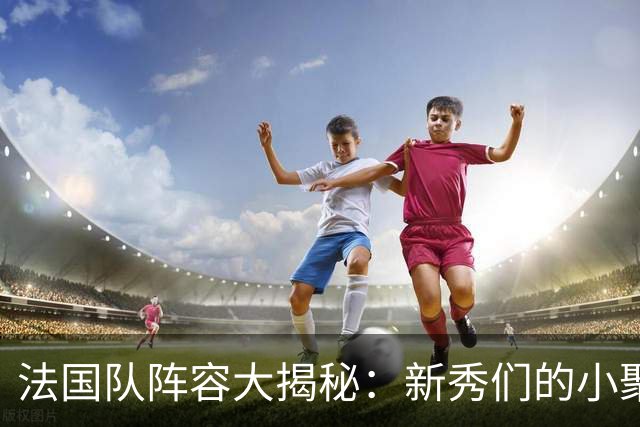 法国队阵容大揭秘：新秀们的小聚会即将启幕！